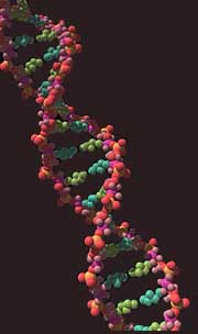 DNA - The Tree of Life?