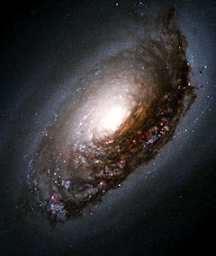 The 'Evil Eye' Galaxy