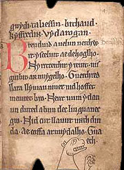 A page from the Black Book of Carmarthen